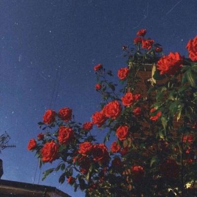幻世界手游最新版下载