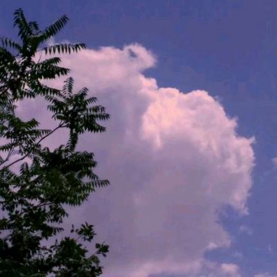 星宸竞技软件下载安装手机版最新