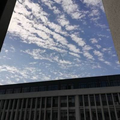 4399崩坏西游官方版下载